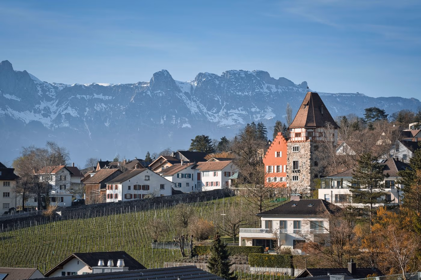 Dornbirn — WEG-Verwaltung mit dotega